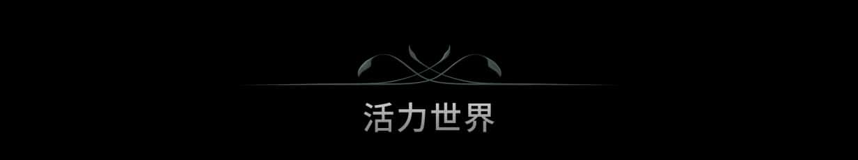 视觉数据6